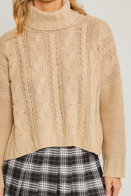 Turtle Neck Cable Knit Sweater